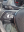 1000037263