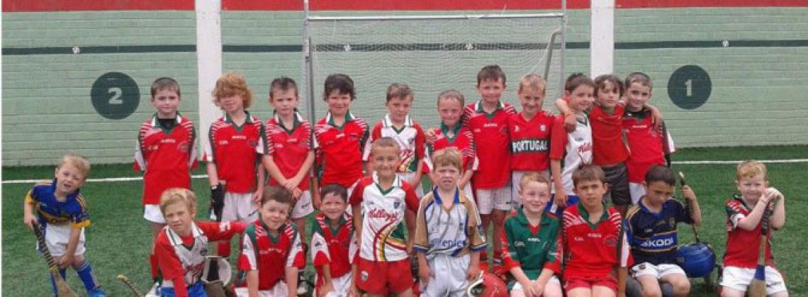 U8 County Hurling Blitz