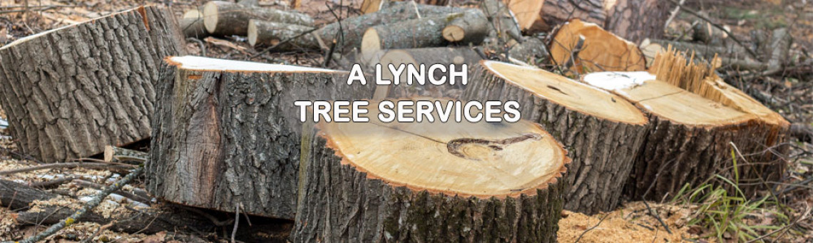 ALynchTreeServices