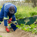 Elite Gardens and Roofing