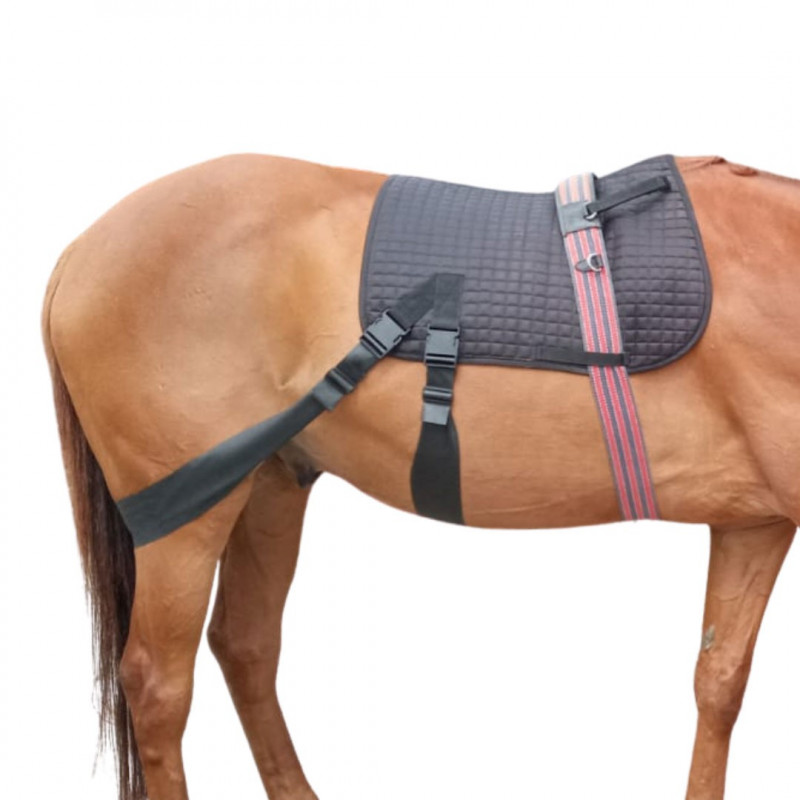 The Equine Core Conditioning System is a training aid that is used in combination with ground work and ridden exercises to improve flexibility, strength, balance and body awareness in the horse