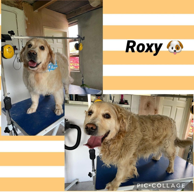Dog Grooming Tipperary