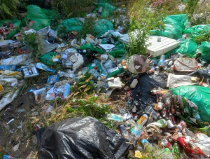 thumb_FB_IMG_1774945738744