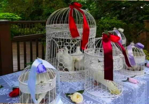 thumb_Wedding-Doves-Ireland