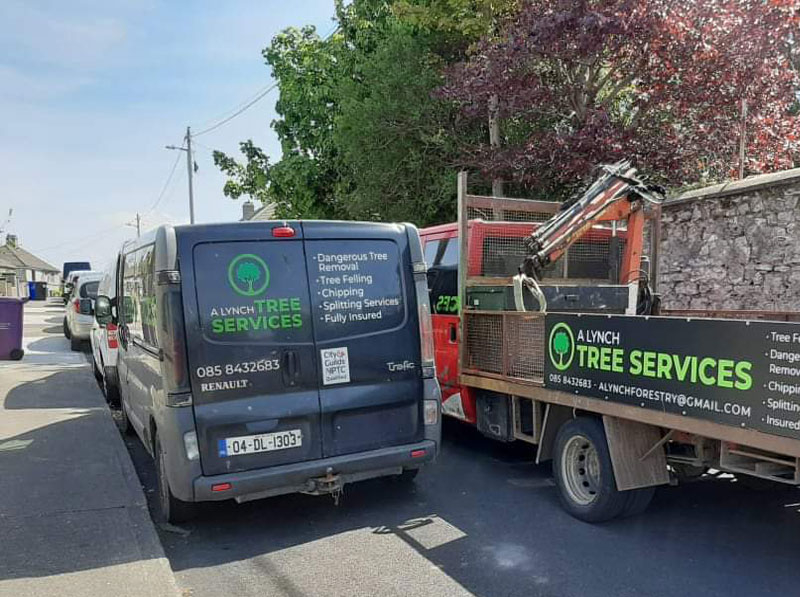 Tree-Surgeon-Sligo