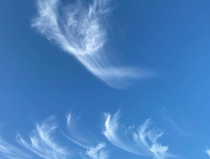 thumb_Screenshot_20221005-182334_Facebook