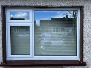 thumb_croc_1697654460745