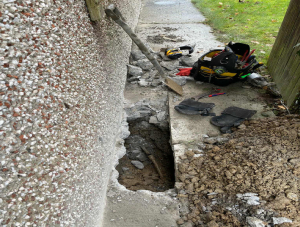 thumb_croc_1761084206034