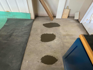 thumb_croc_1761082597106