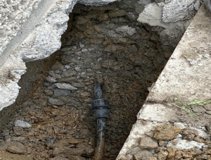 thumb_croc_1761082633850