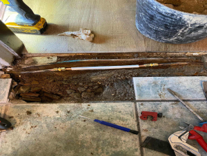 thumb_croc_1761079642881