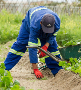 Elite_Gardening_Clare