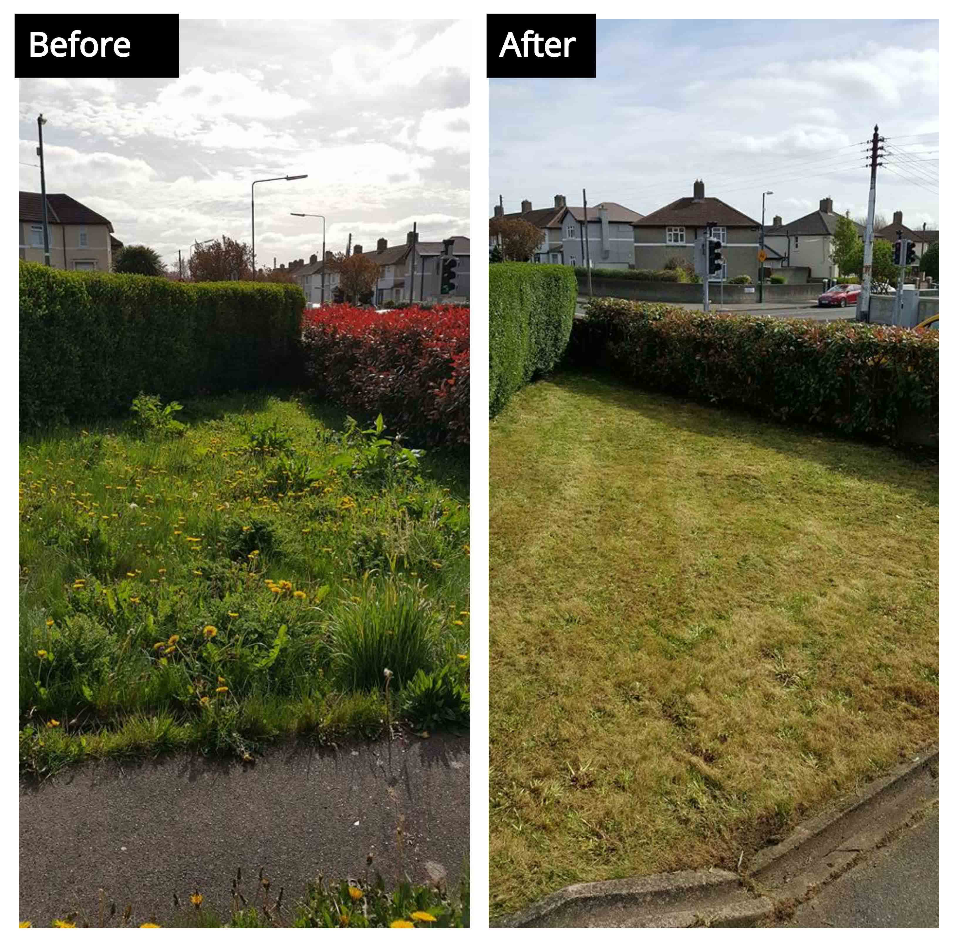 Green Haven Garden Service Dublin Landscaping & Gardening